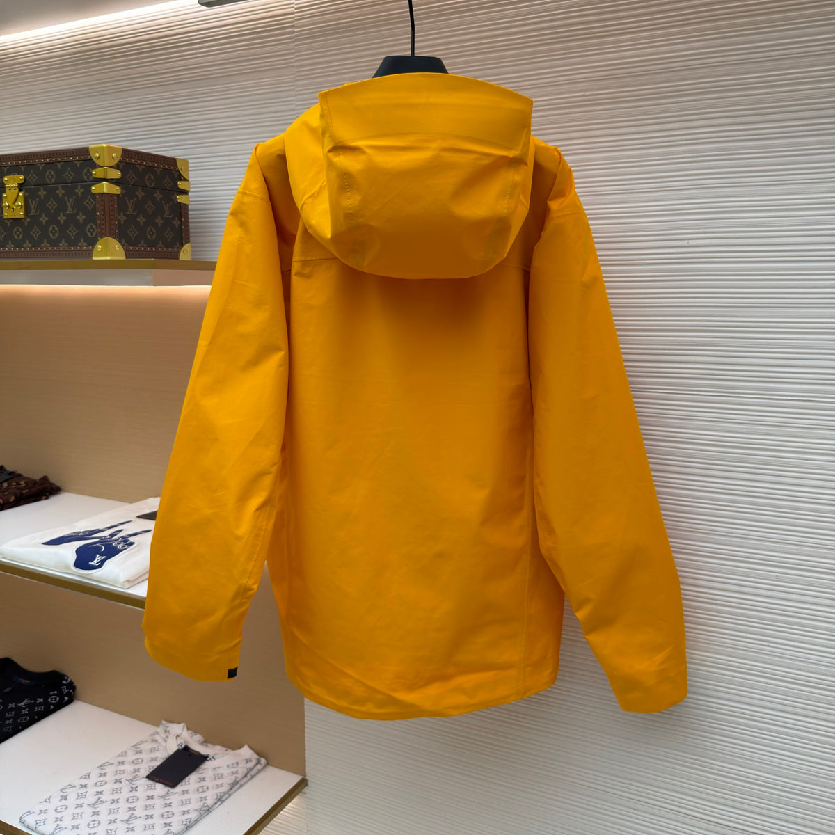 Arcteryx Beta LT Jacket