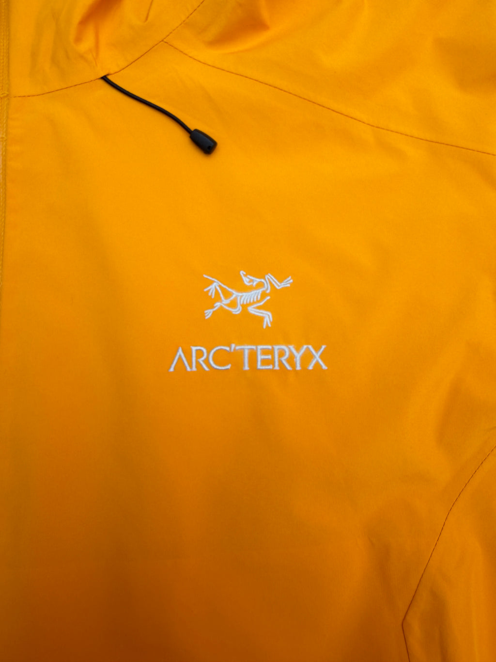 Arcteryx Beta LT Jacket