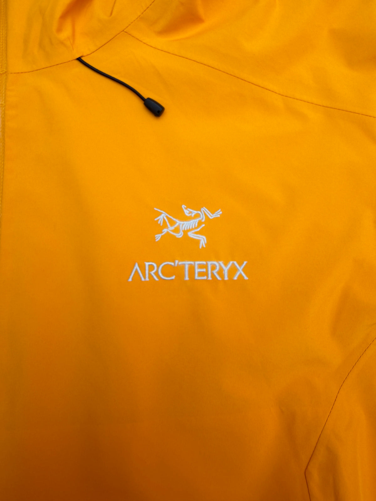 Arcteryx Beta LT Jacket