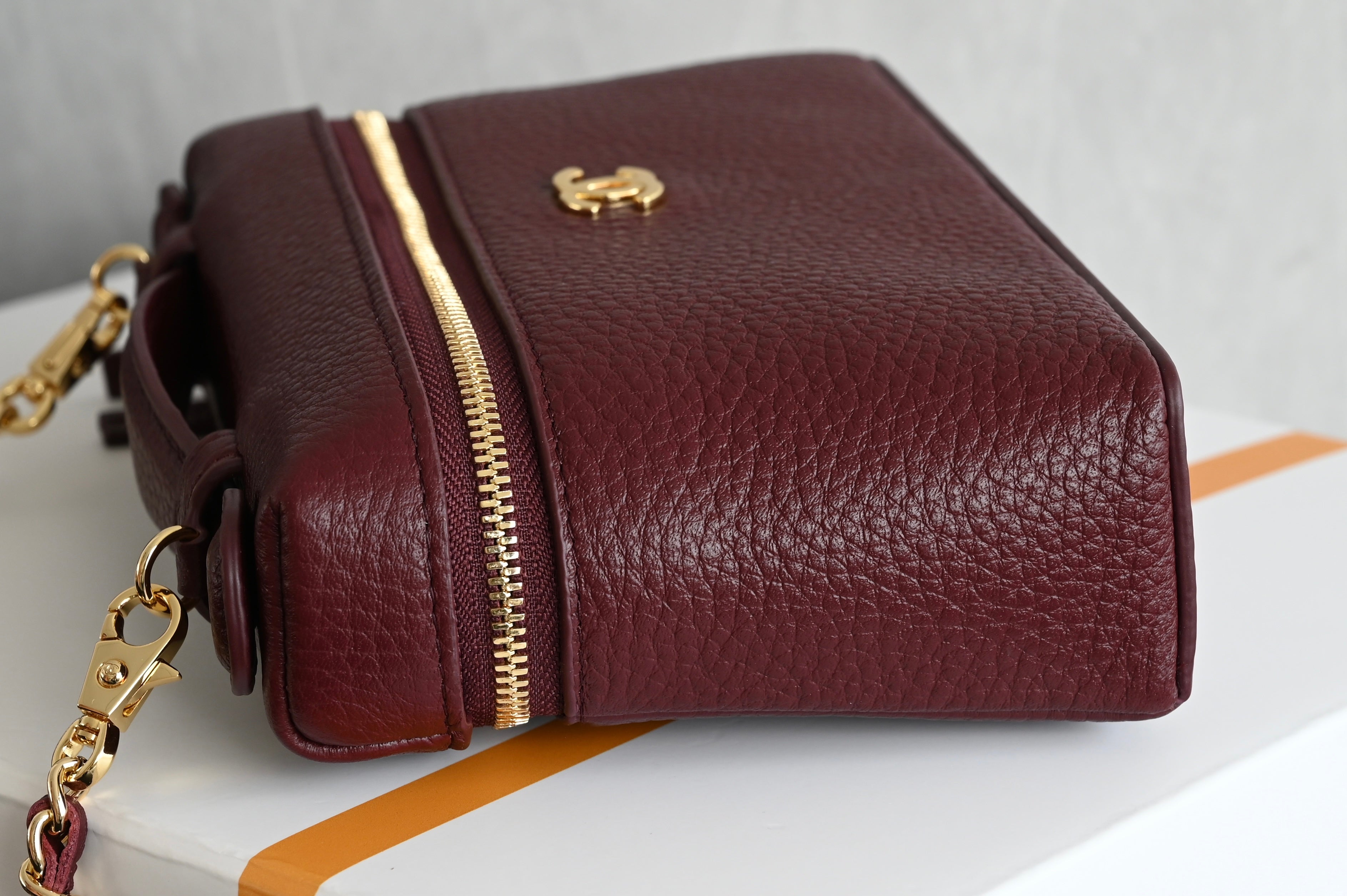 Chanel Vanity with Chain in Calfskin
