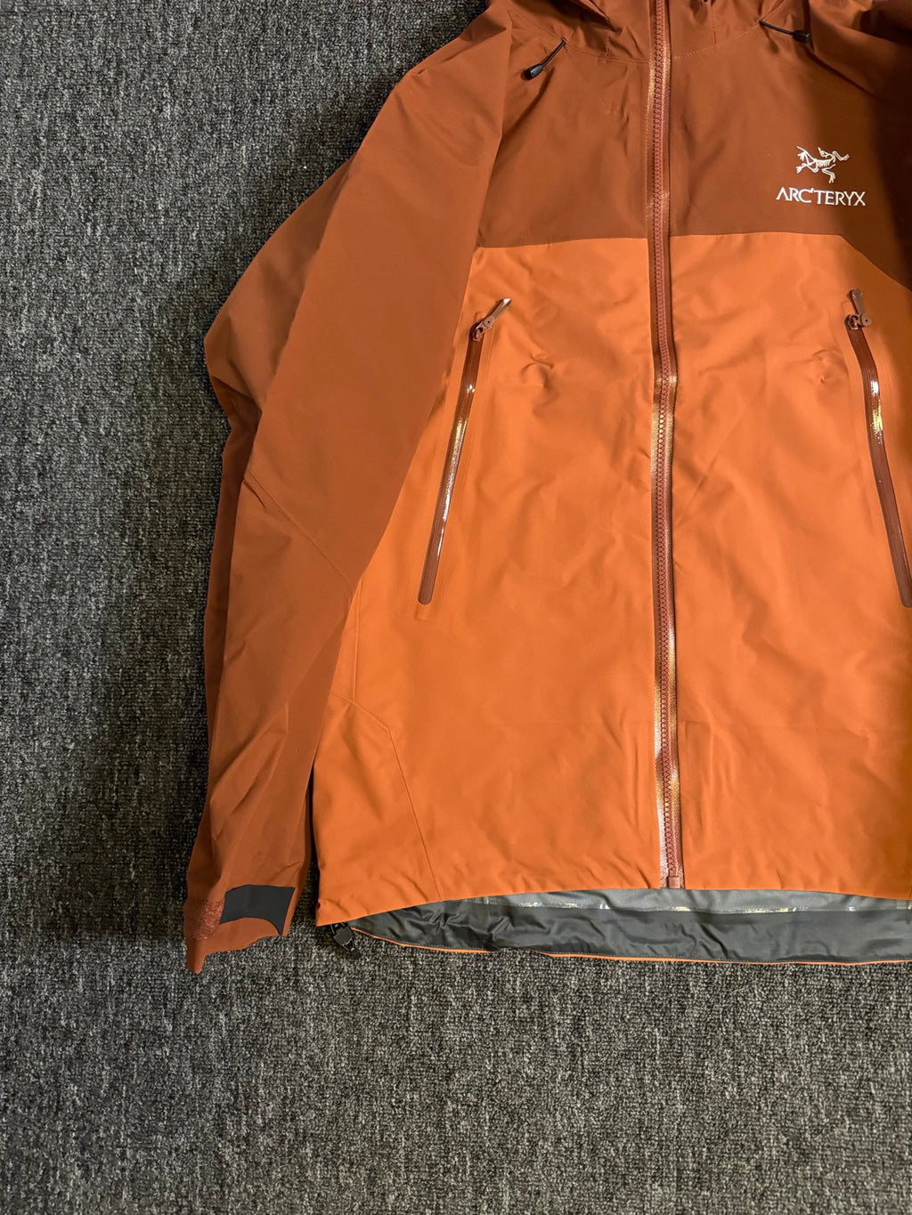 Arcteryx Beta AR Jacket