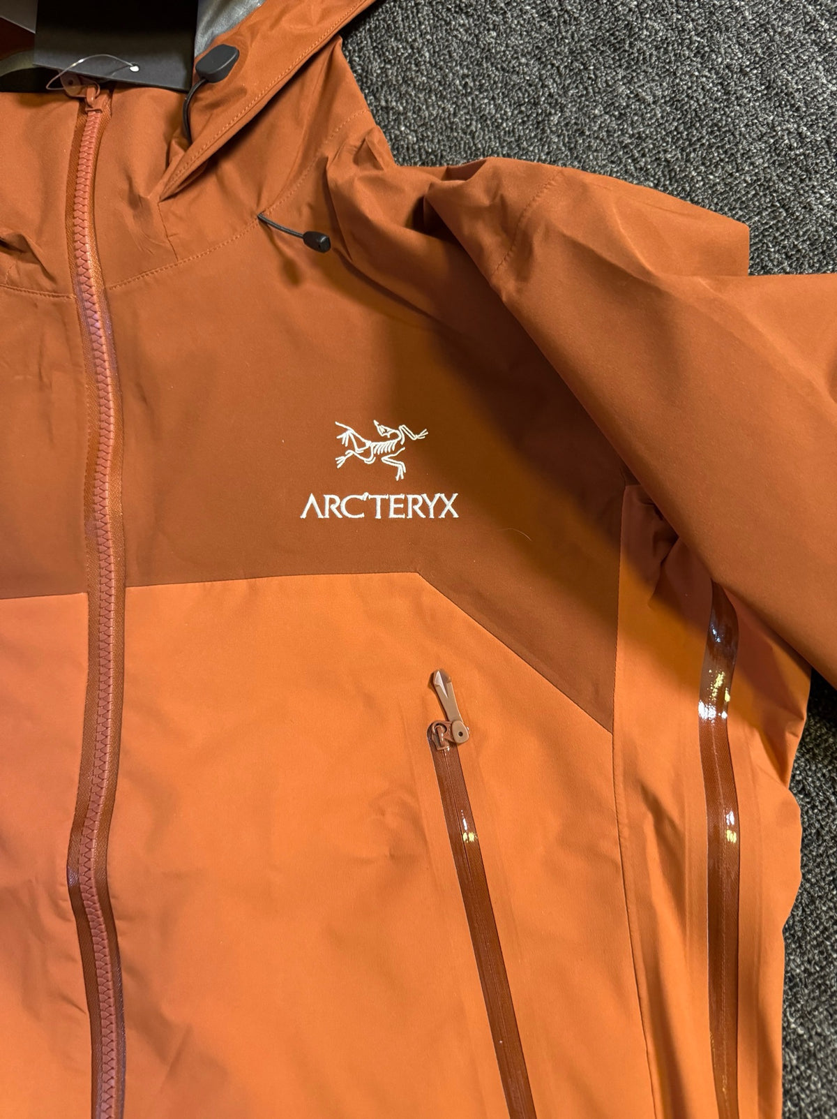 Arcteryx Beta AR Jacket