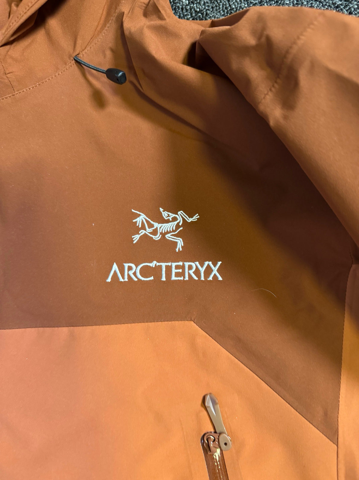 Arcteryx Beta AR Jacket