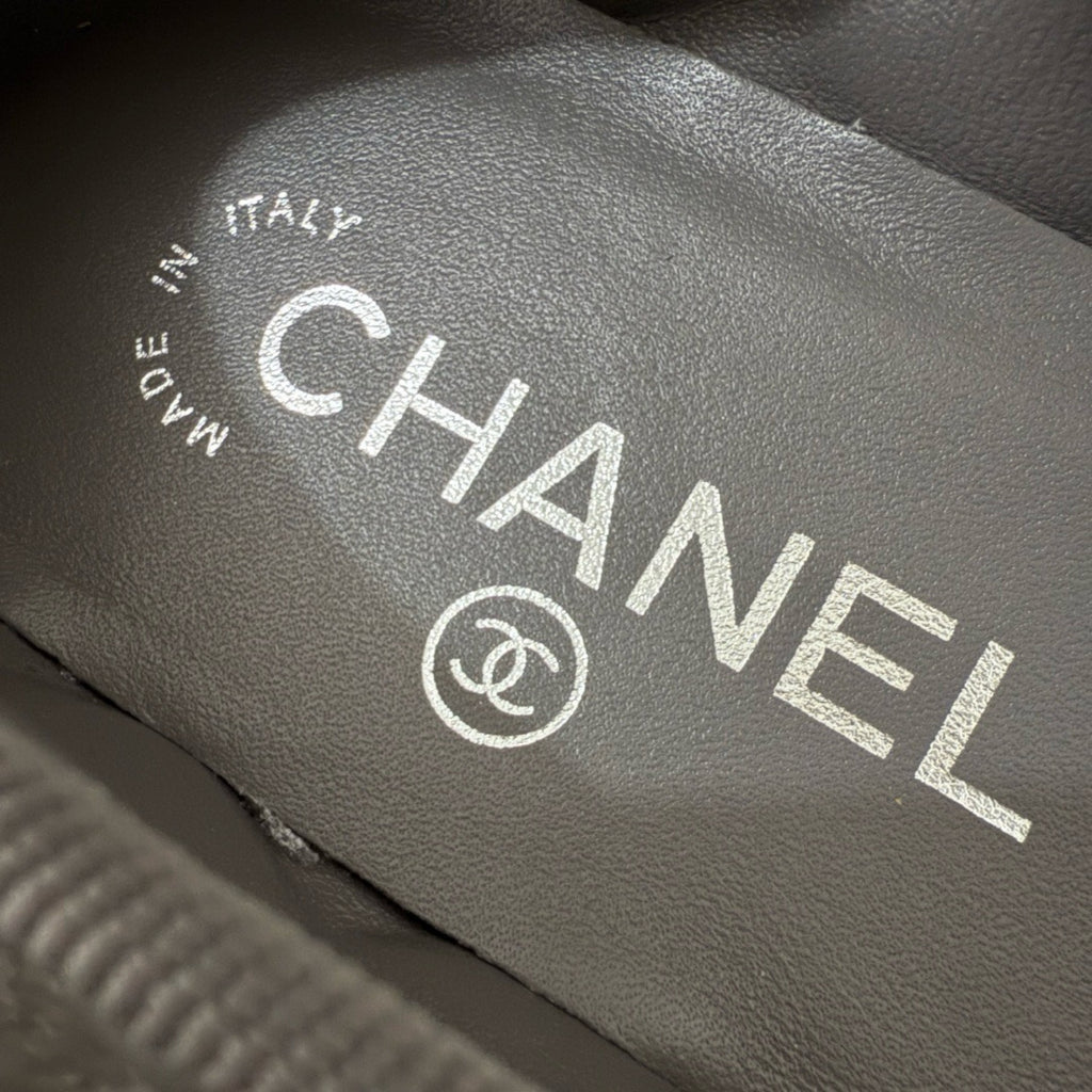 Chanel Classic Ballet Flats In Quilted Leather