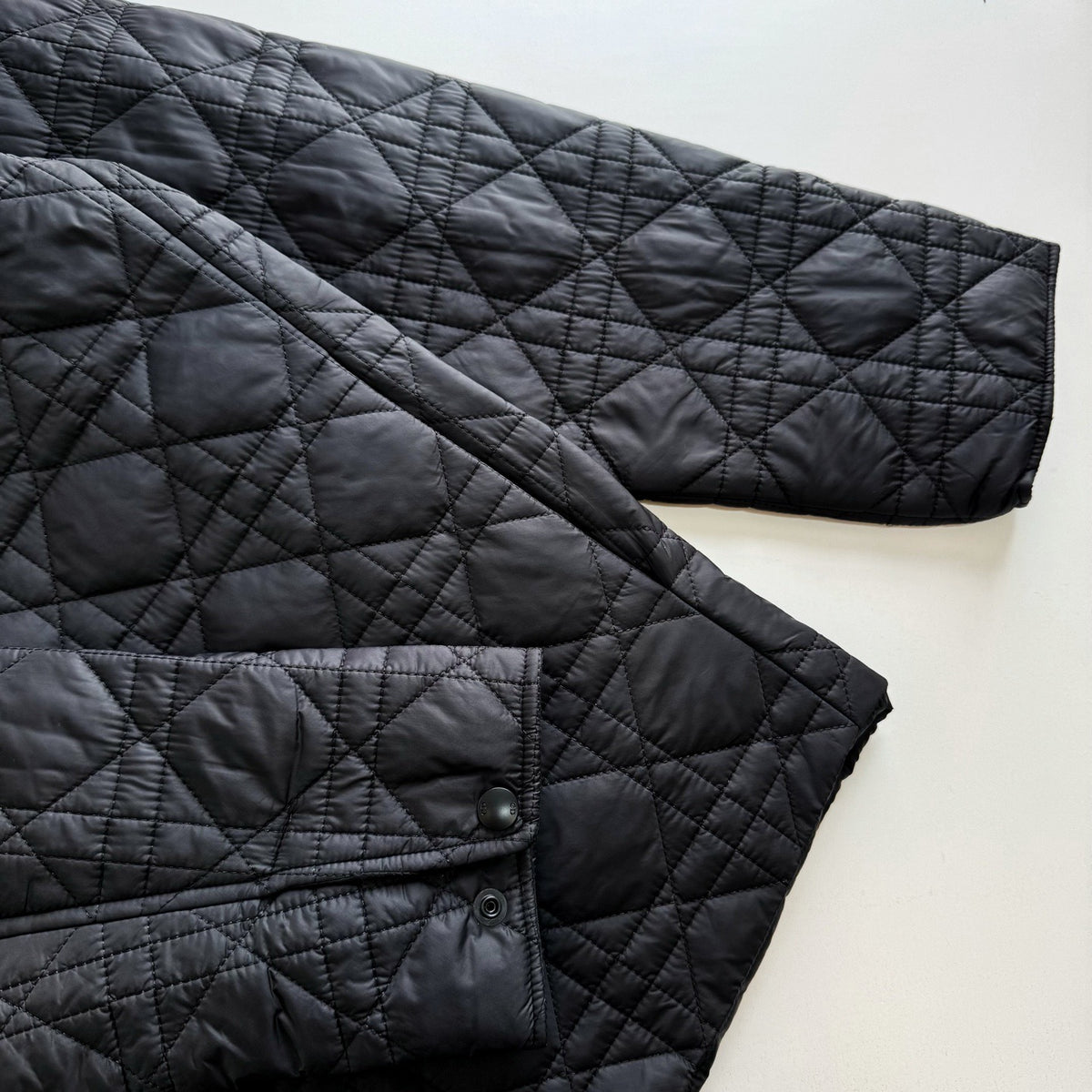 Dior Alps Cannage Blouson Jacket