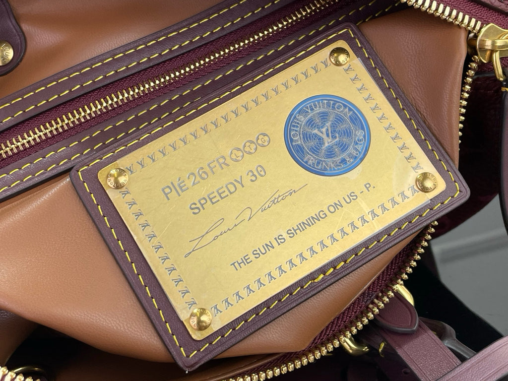 LV Speedy P9 Bandoulière 30 M2A417