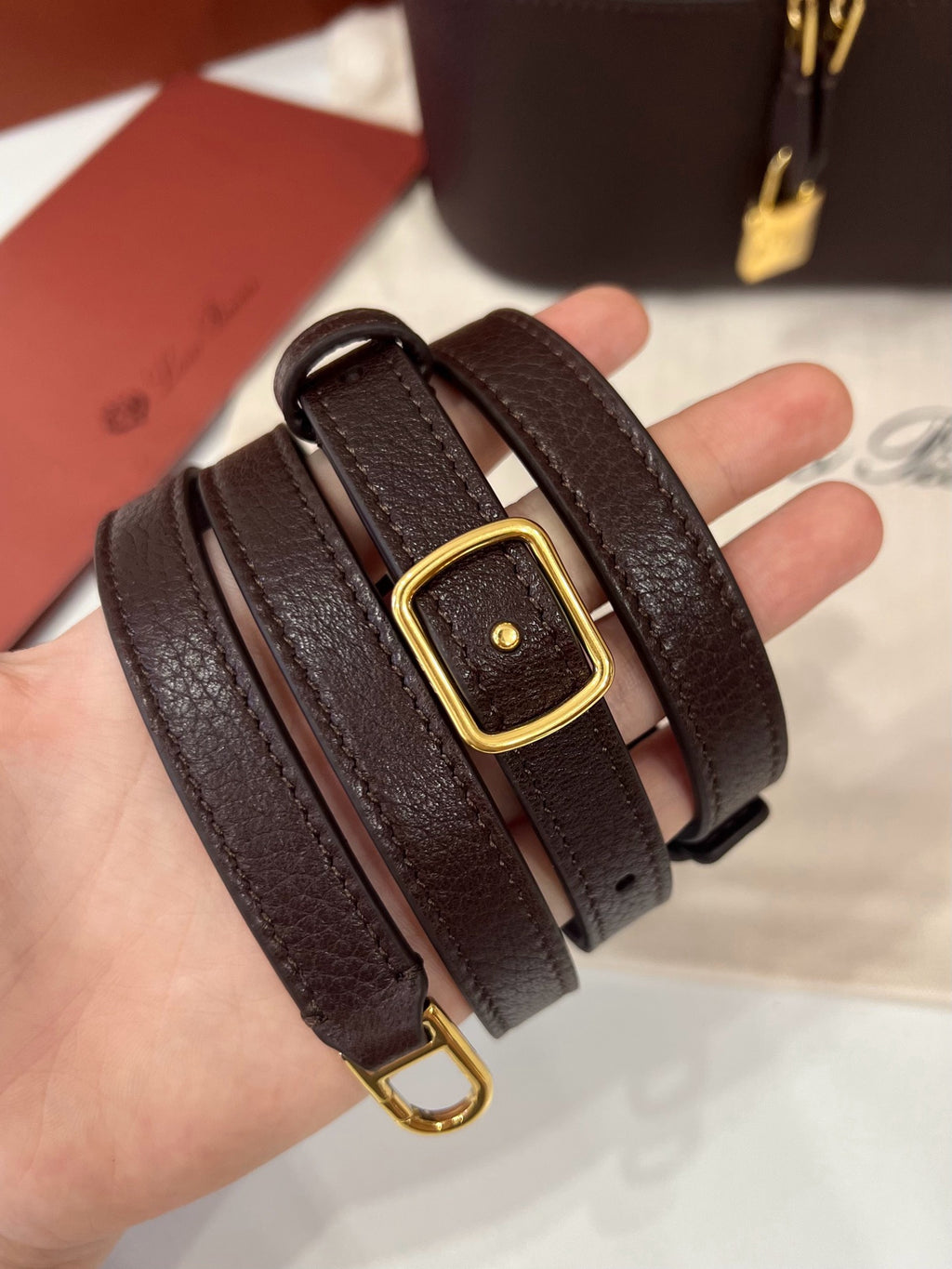 Loro Piana Extra Softy Case L21 in Lambskin