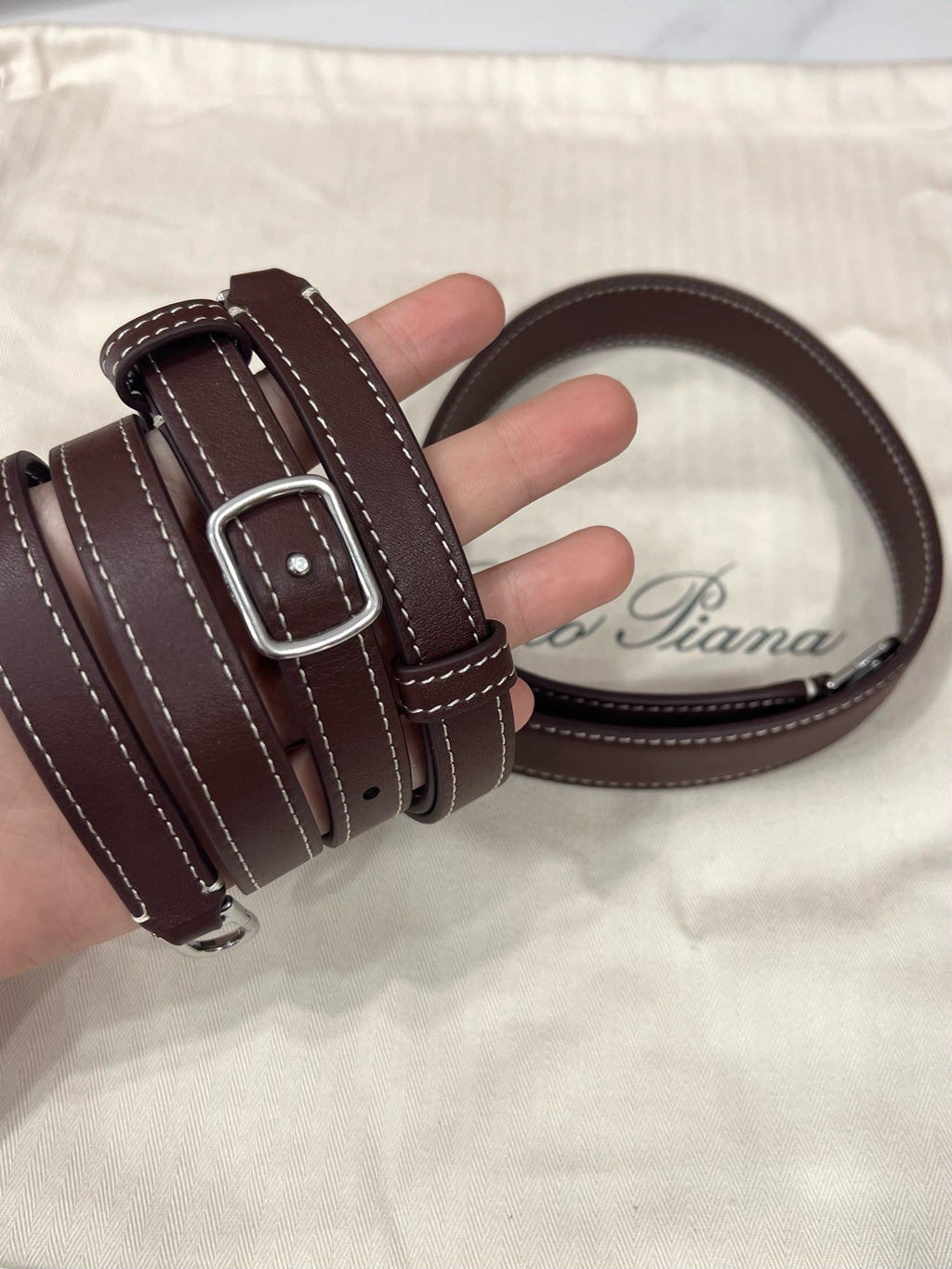 Loro Piana Extra Softy Bag L29 in Calfskin