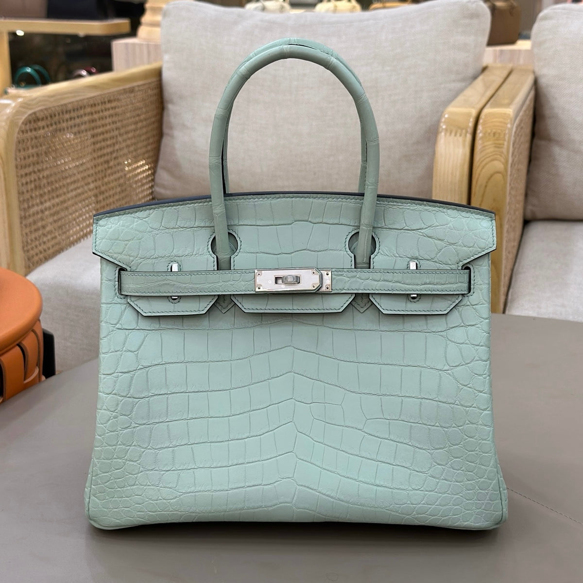 Hermes Birkin 25 in Matte Alligator Crocodile