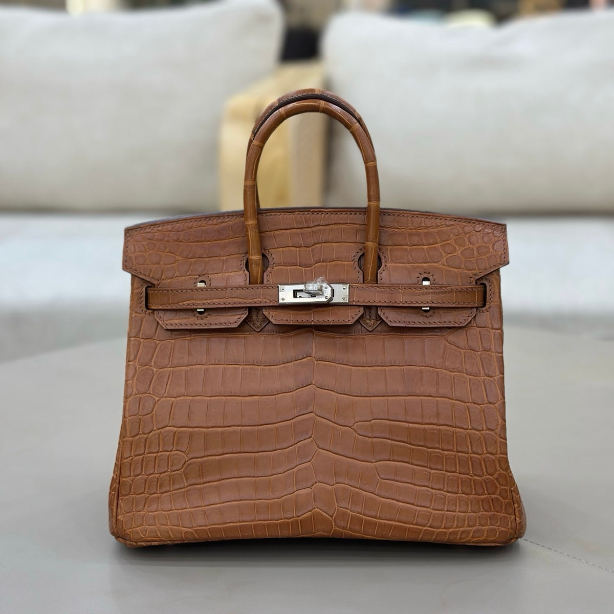 Hermes Birkin 25 in Matte Alligator Crocodile