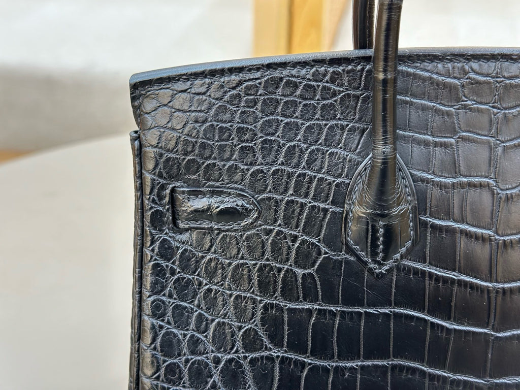 Hermes Birkin 25 in Matte Alligator Crocodile
