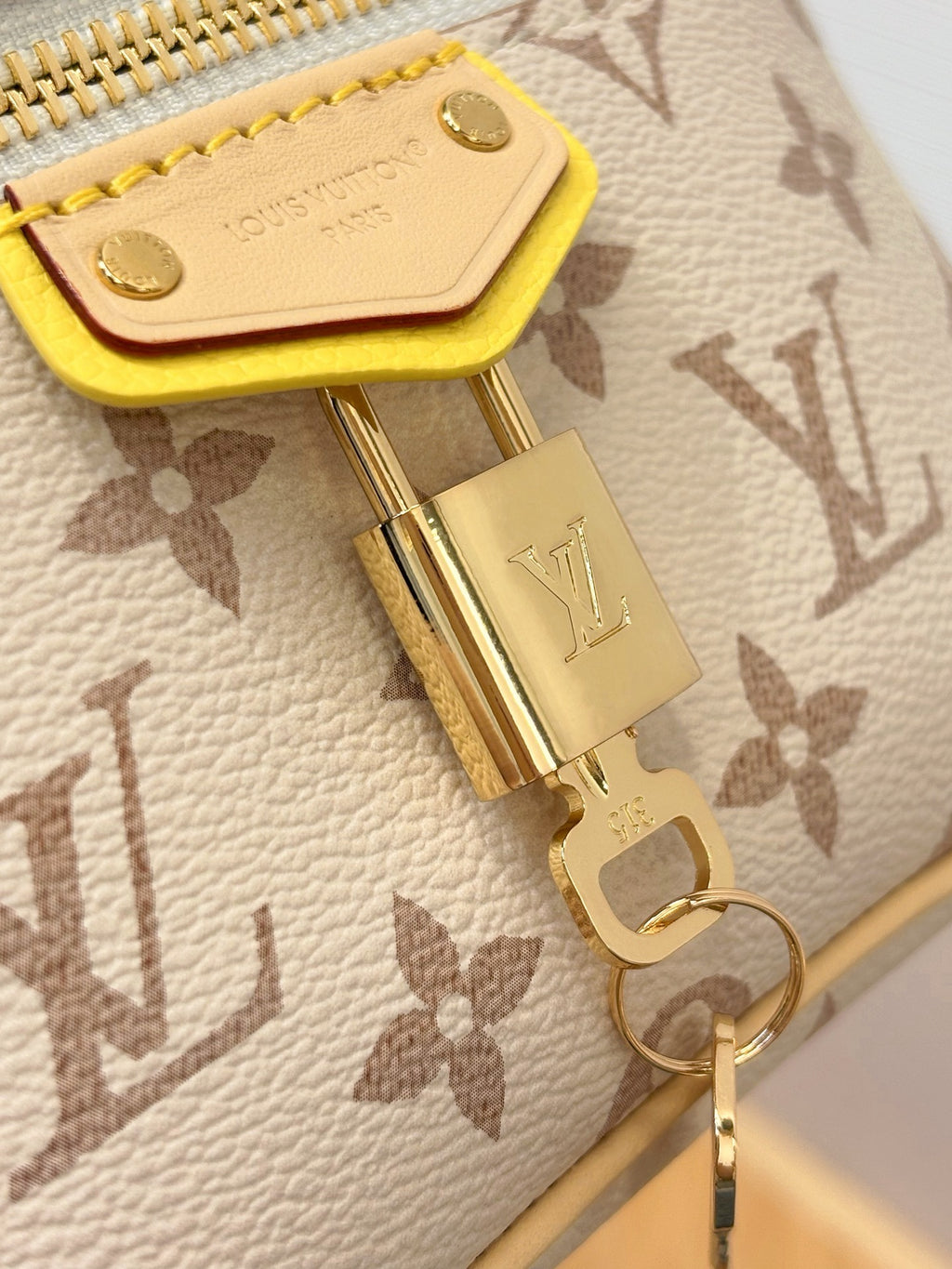 LV Vanity Chain Pouch M29782