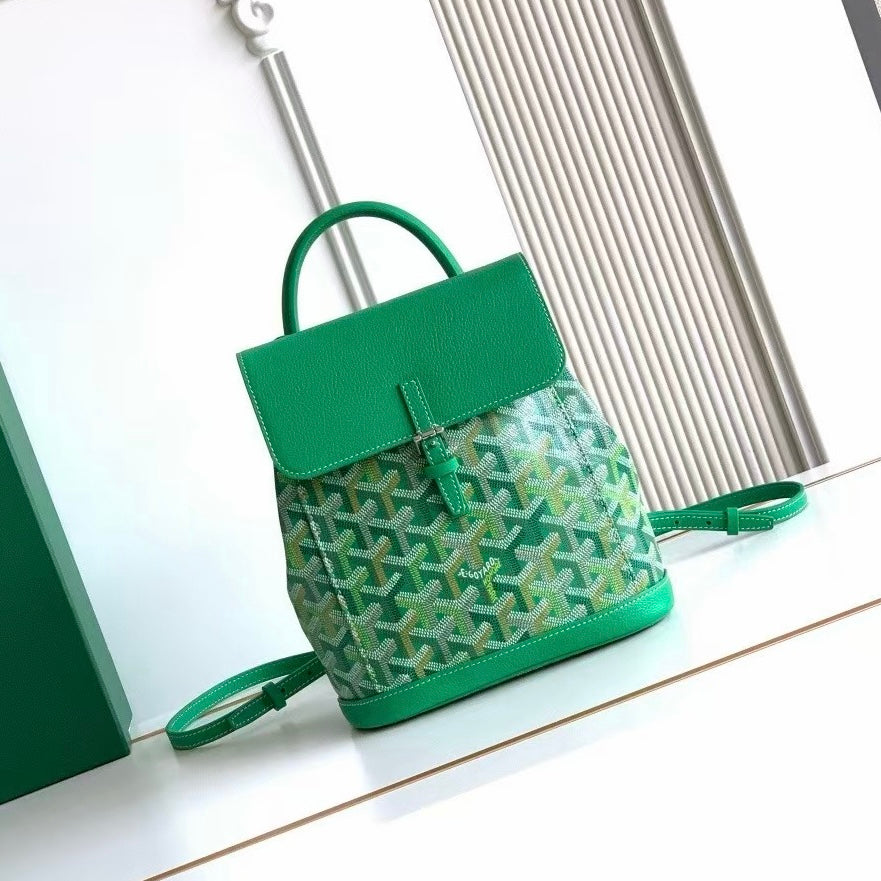 Goyard Alpin Mini Backpack Multicoloured