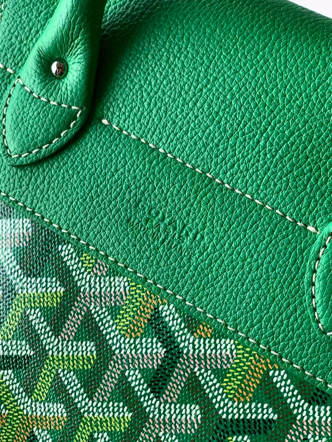 Goyard Alpin Mini Backpack Multicoloured