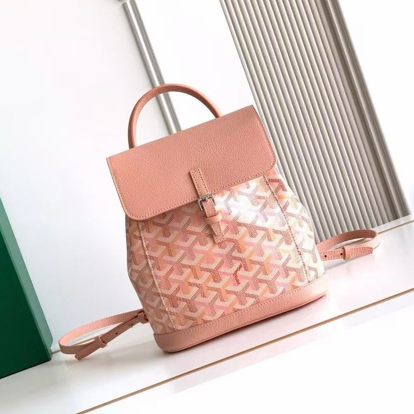 Goyard Alpin Mini Backpack Multicoloured