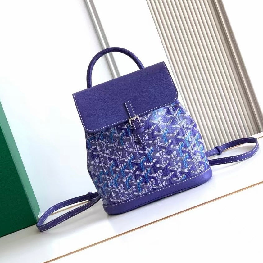 Goyard Alpin Mini Backpack Multicoloured