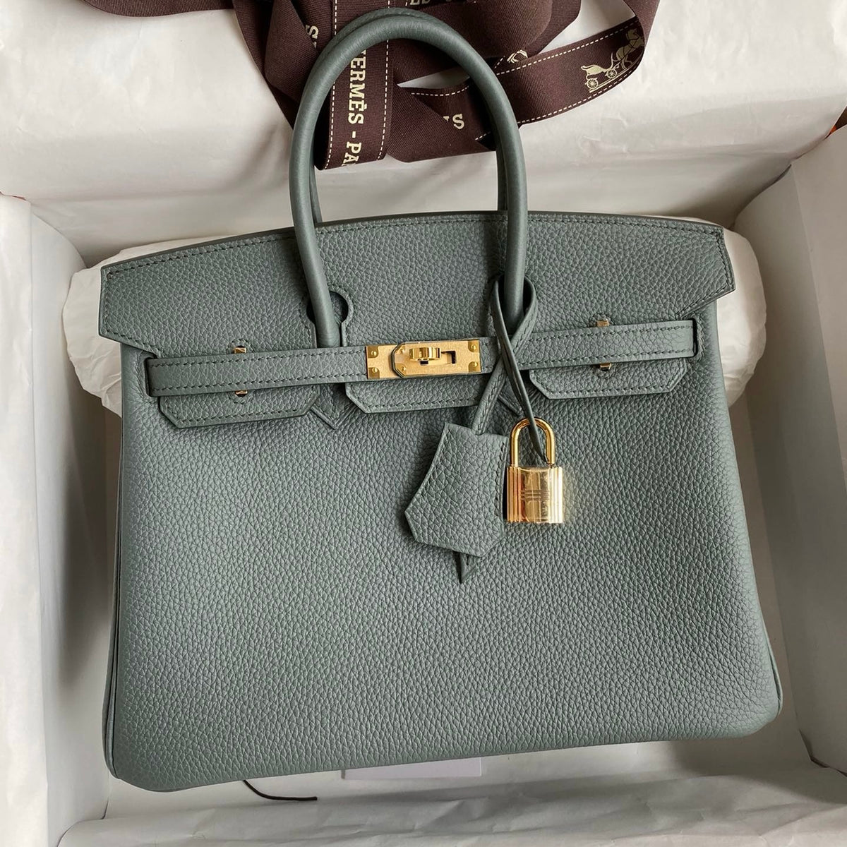 Hermes Birkin 25 in Togo Calfskin