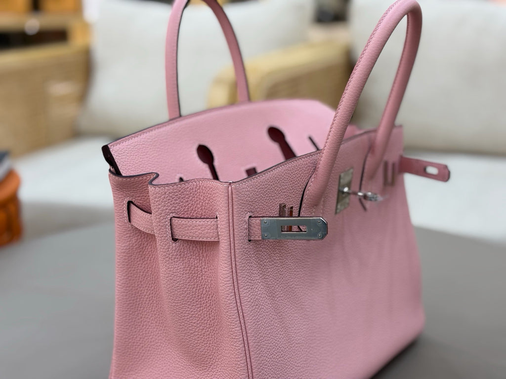 Hermes Birkin 25 in Togo Calfskin