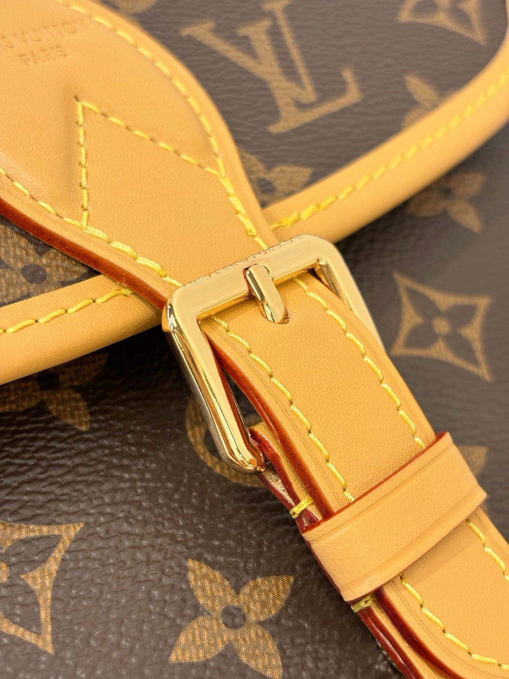 LV Diane Backpack PM M29766