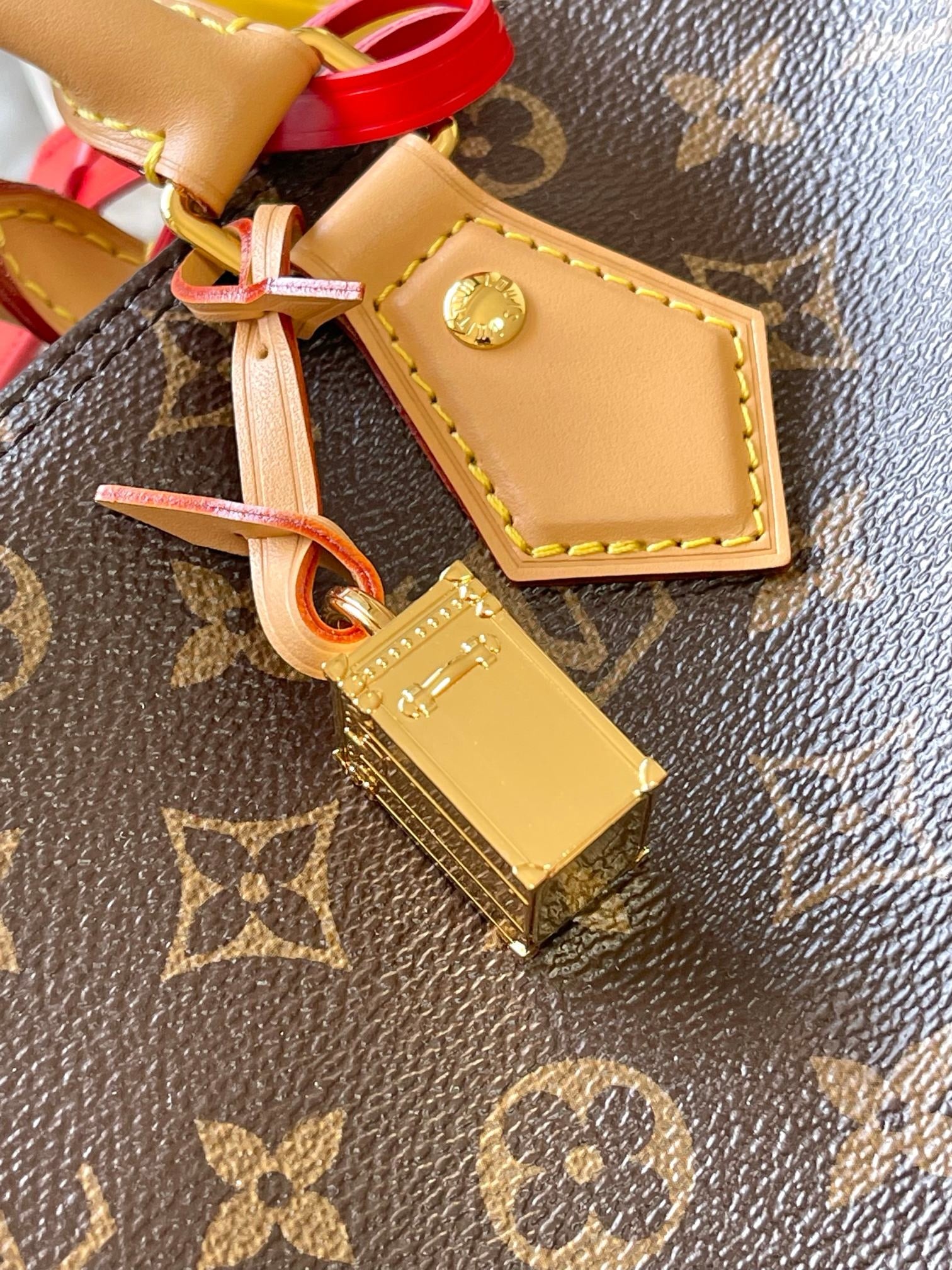 LV Speedy Soft 30 Crafty M11945
