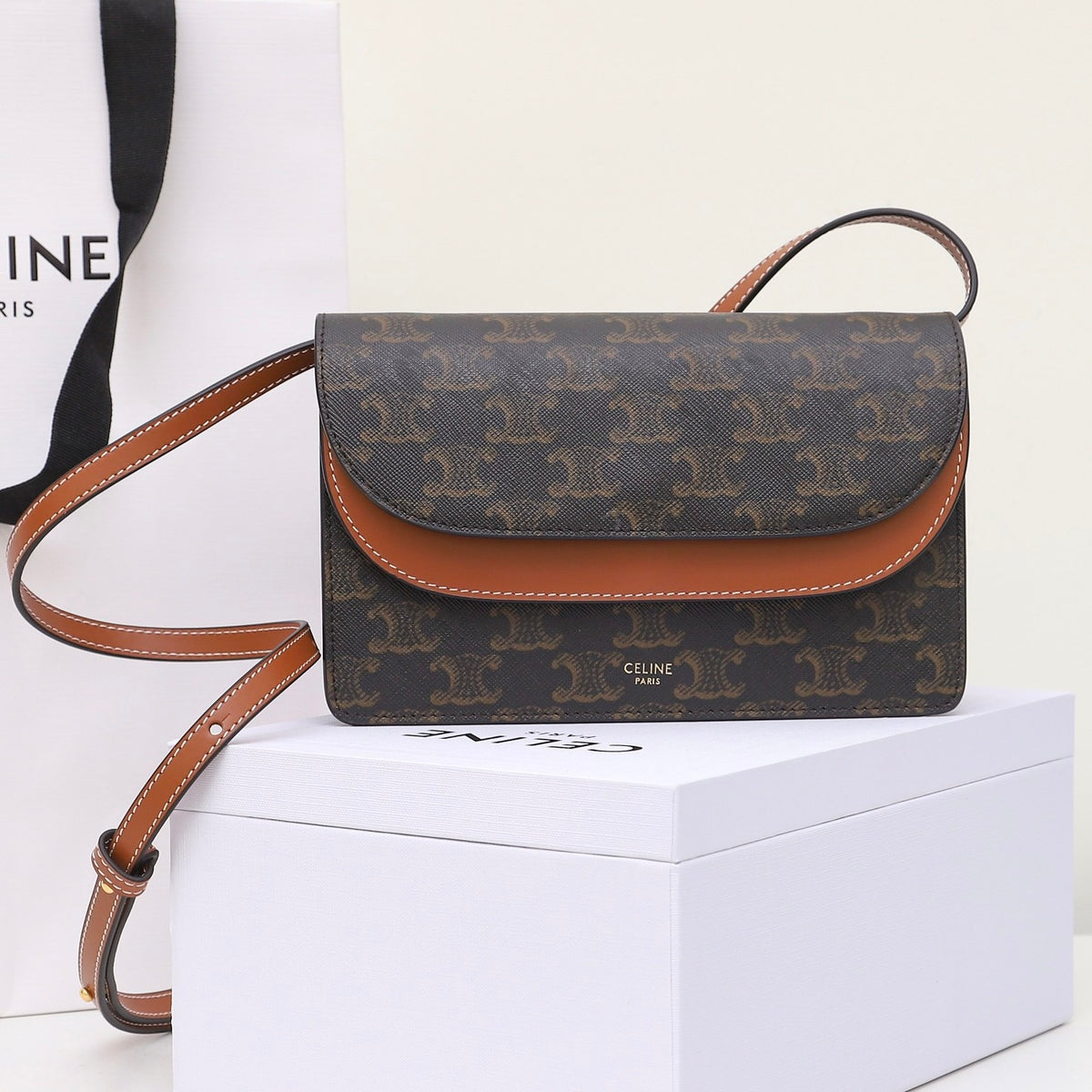 Celine Wallet on Strap in Triomphe Canvas