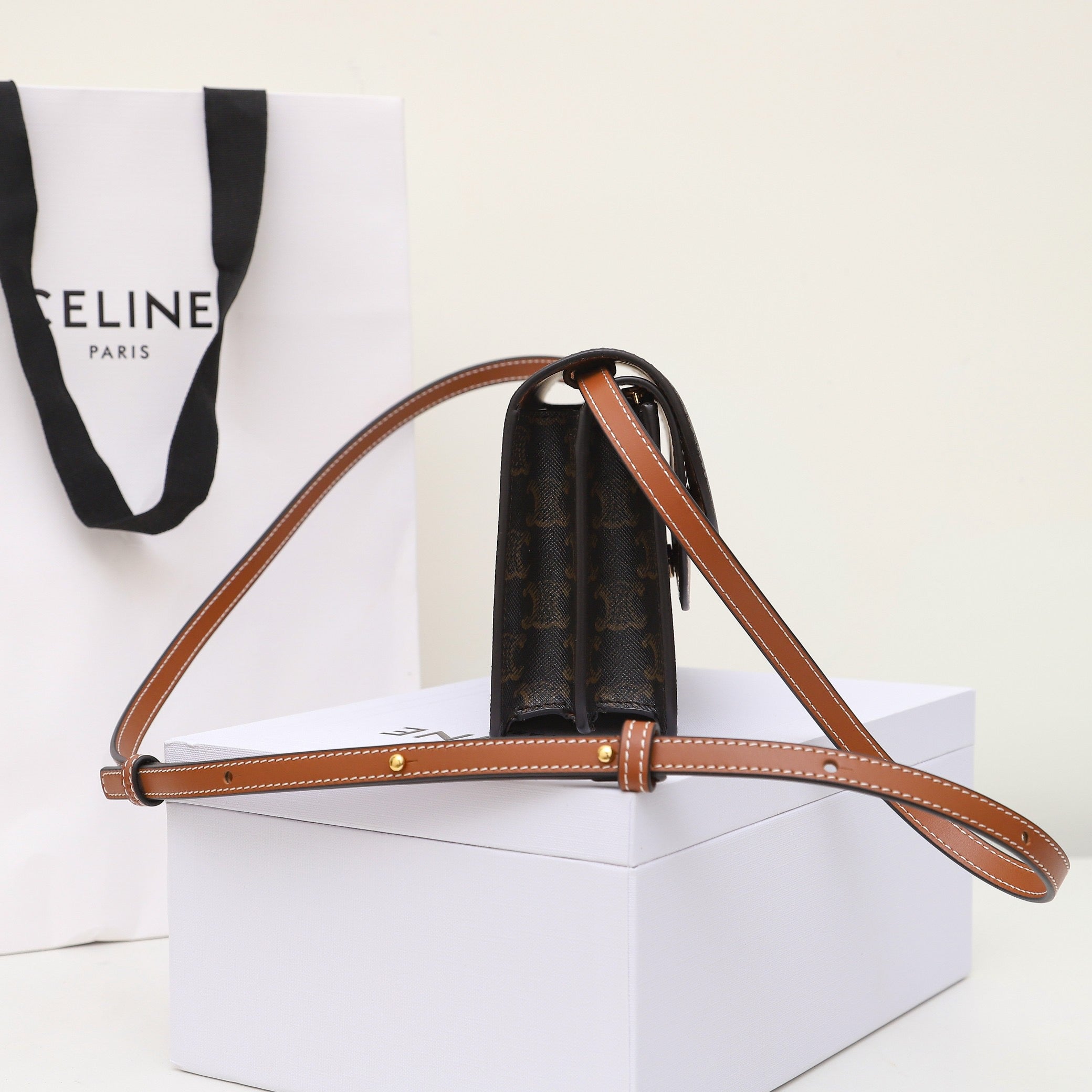 Celine Wallet on Strap in Triomphe Canvas
