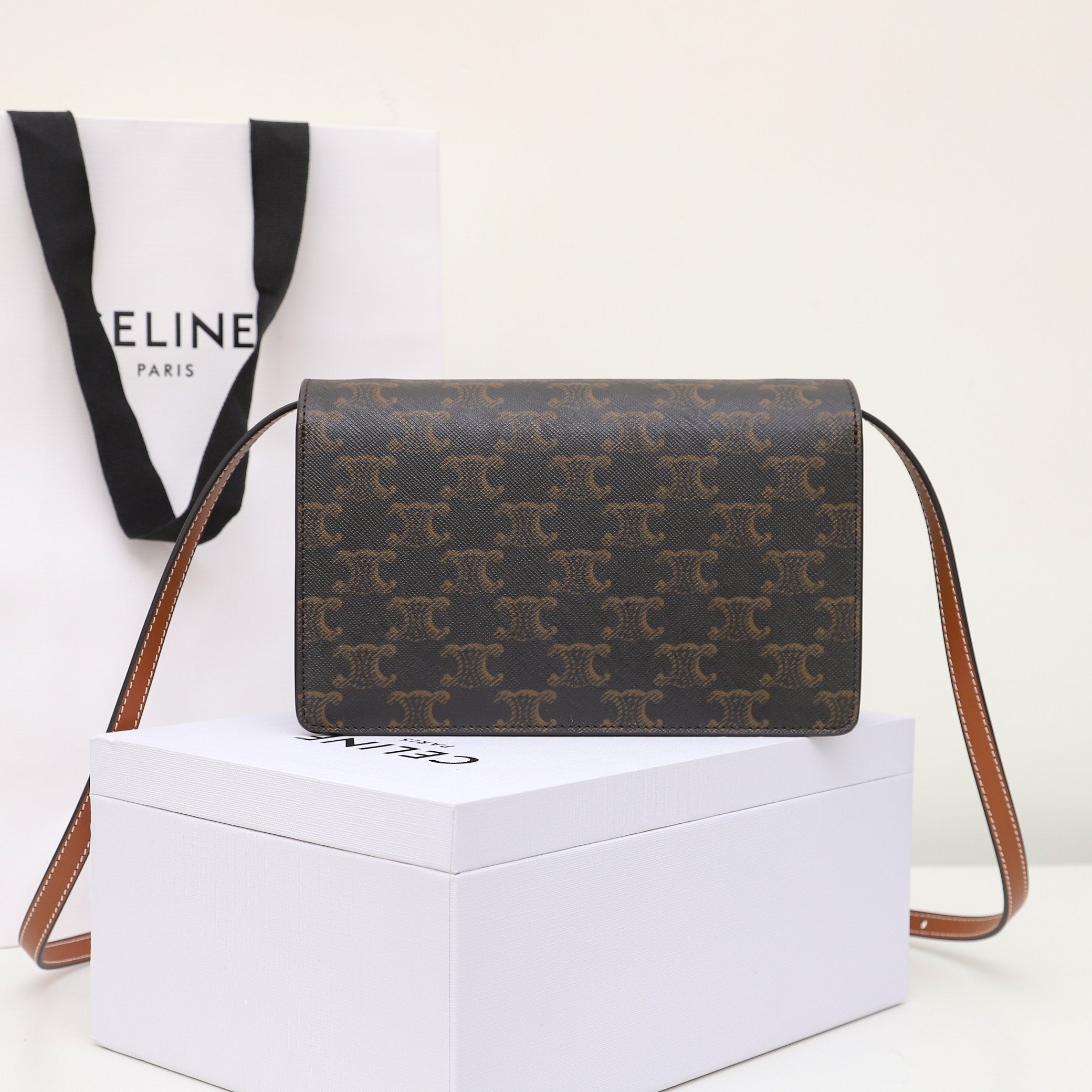 Celine Wallet on Strap in Triomphe Canvas