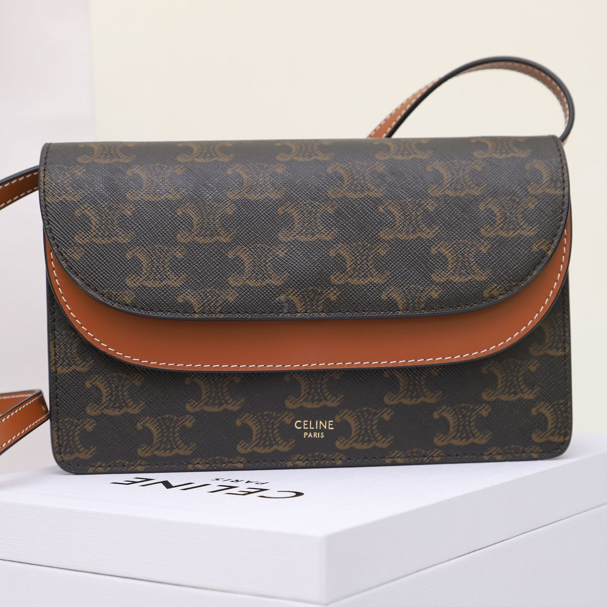 Celine Wallet on Strap in Triomphe Canvas