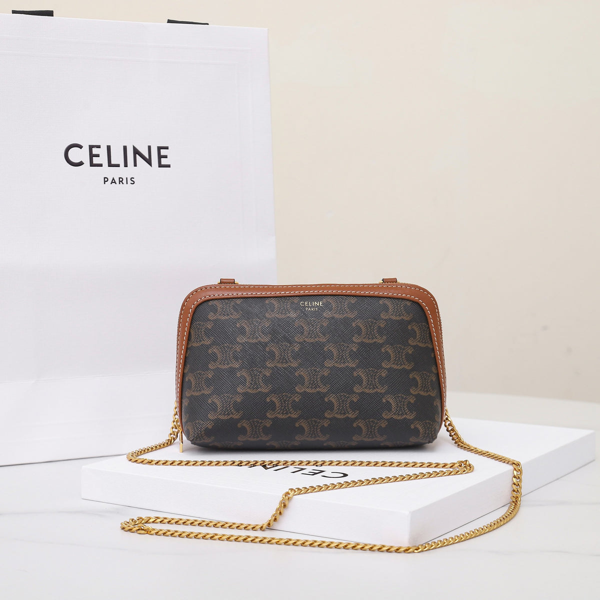 Celine Clutch On Chain In Triomphe Canvas And Lambskin