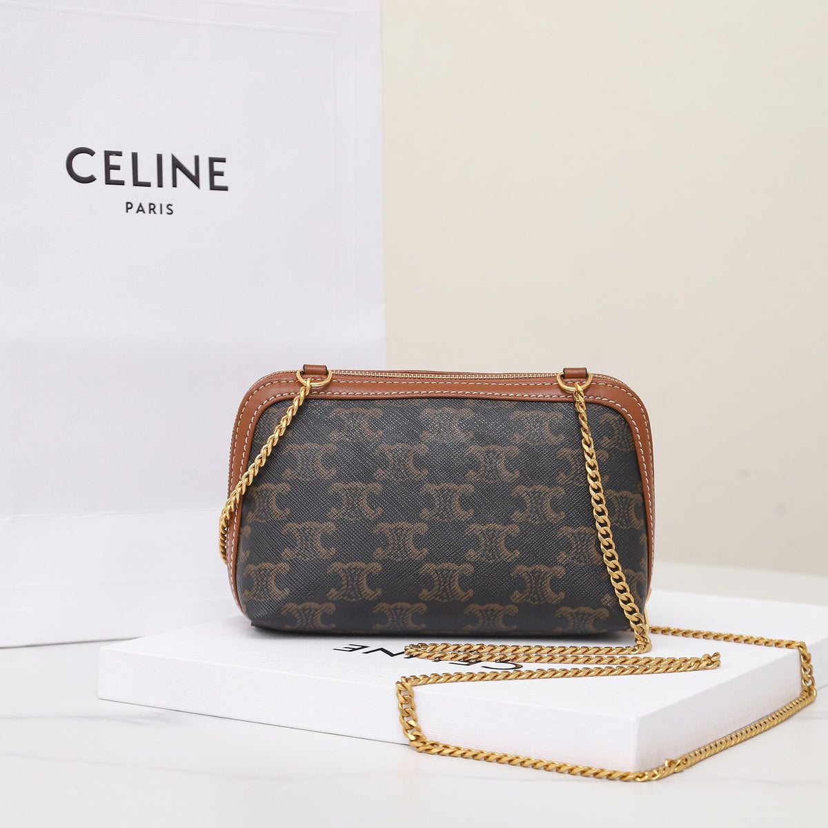 Celine Clutch On Chain In Triomphe Canvas And Lambskin