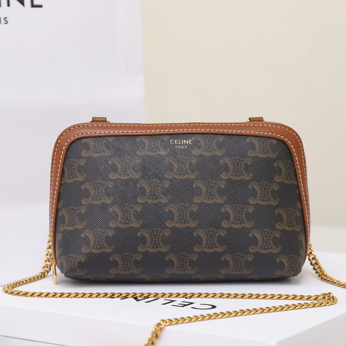 Celine Clutch On Chain In Triomphe Canvas And Lambskin