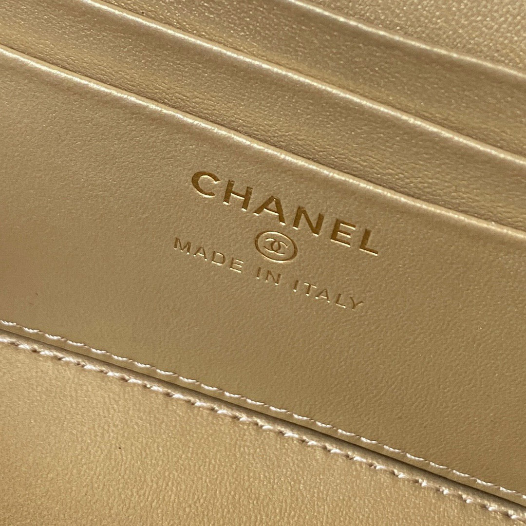 Chanel Pearl Crush Vanity Case with Chain in Lambskin