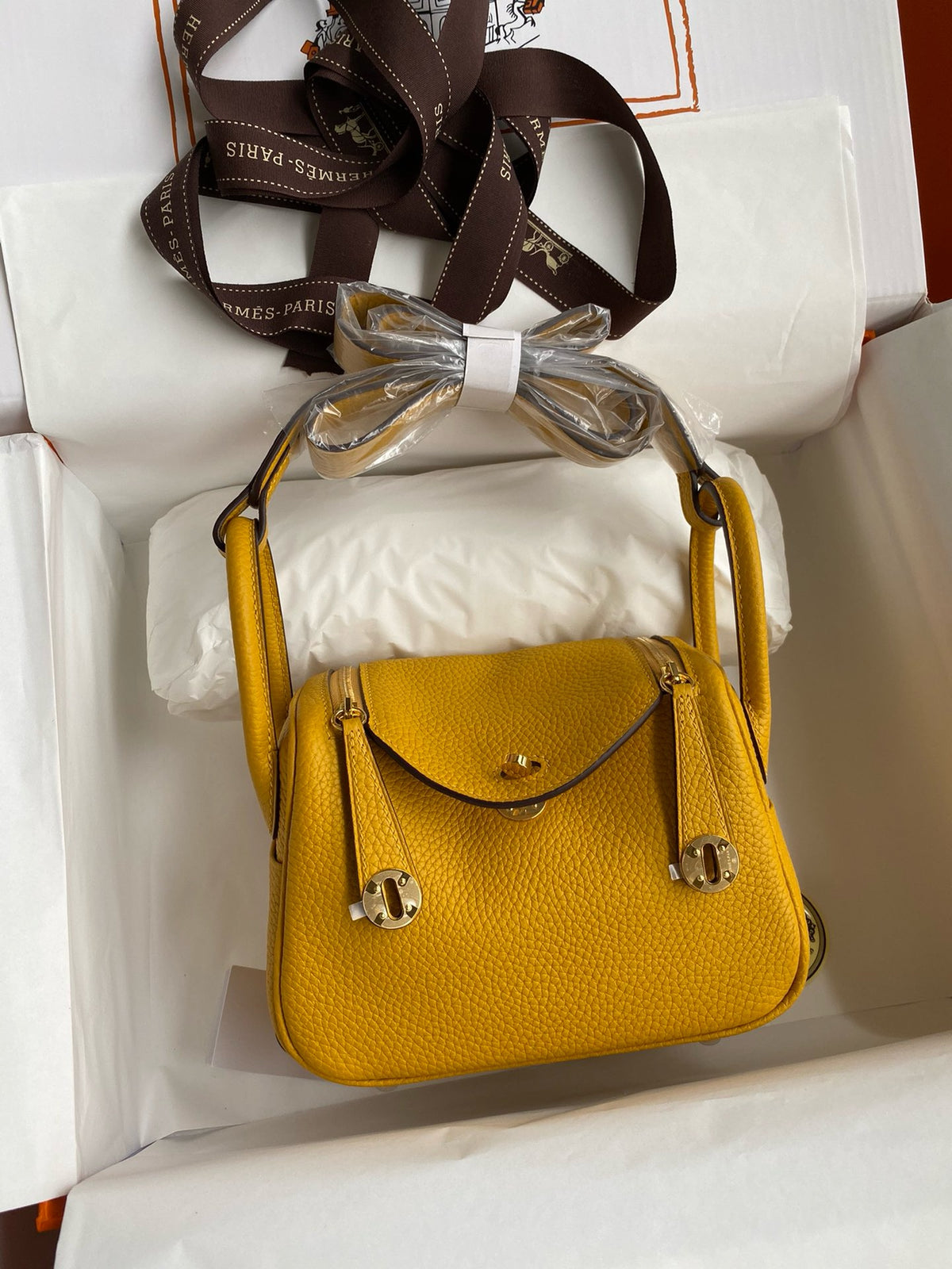 Hermes Lindy Mini Bag in Taurillon Clemence Leather