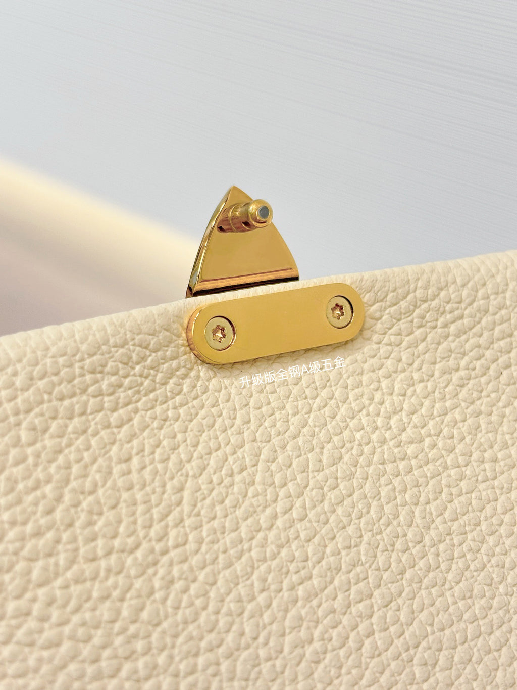 LV Nano Madeleine in Supple Grained Cowhide Leather