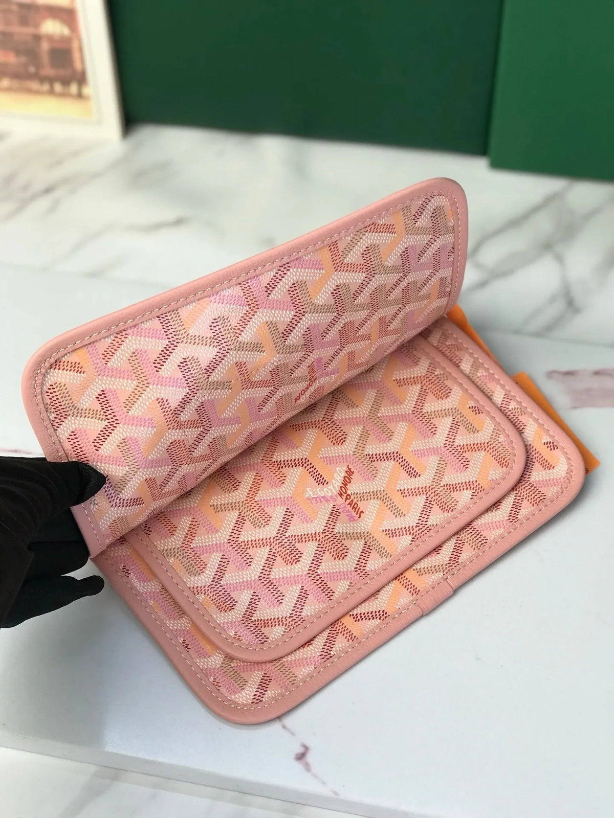 Goyard Plumet Pouch-Wallet Multicolored