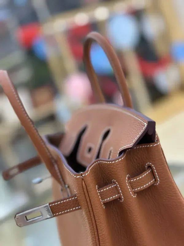 Hermes Birkin 25 in Togo Calfskin