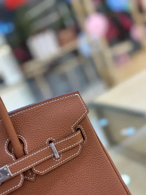 Hermes Birkin 25 in Togo Calfskin