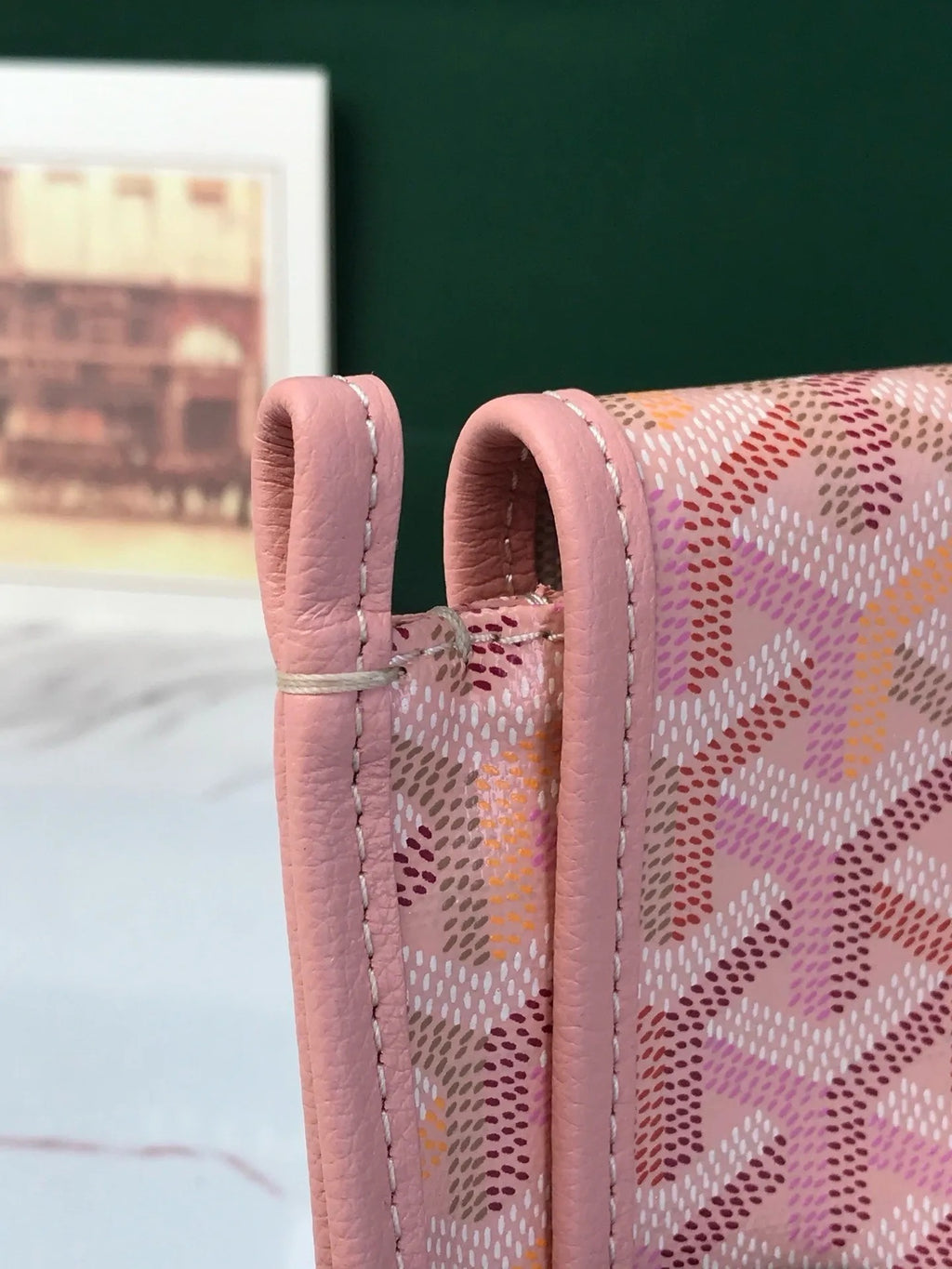 Goyard Plumet Pouch-Wallet Multicolored